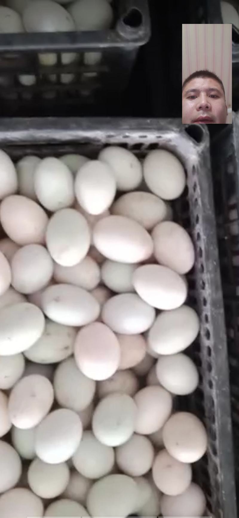 哑子鸭蛋，经纹蛋，裂纹蛋，红心鸭蛋，哑巴蛋🥚