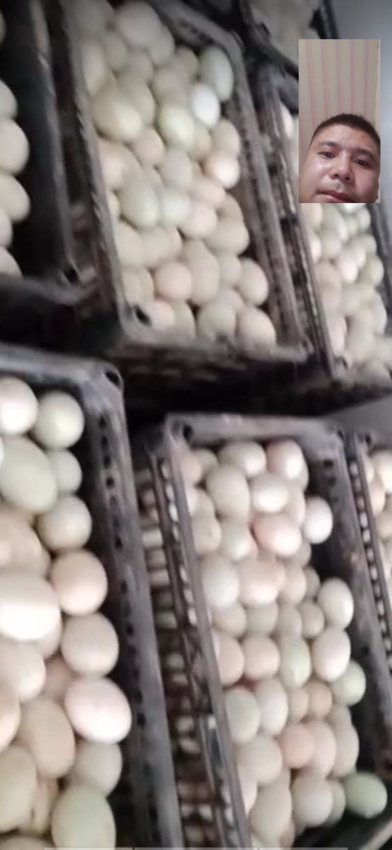 哑子鸭蛋，经纹蛋，裂纹蛋，红心鸭蛋，哑巴蛋🥚