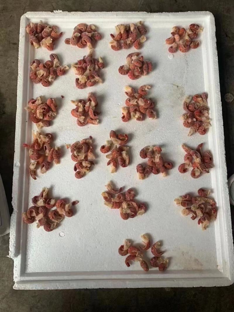 龙虾尾