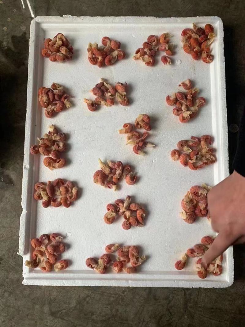 龙虾尾