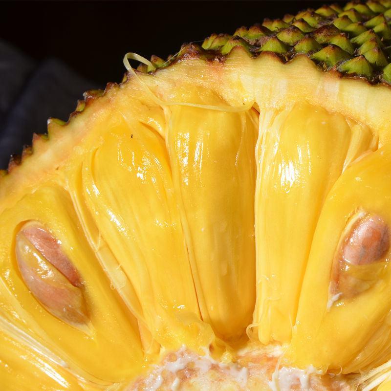海南菠萝蜜新鲜热带水果应当季三亚黄肉菠萝蜜木菠萝整个现摘