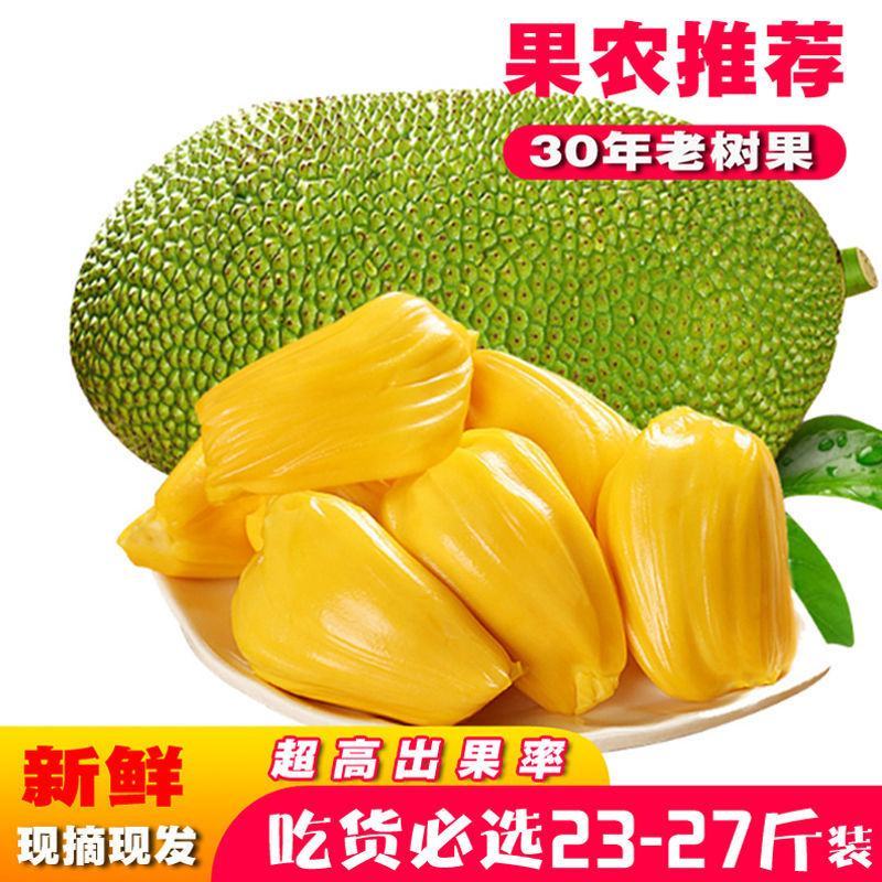 海南菠萝蜜新鲜热带水果应当季三亚黄肉菠萝蜜木菠萝整个现摘