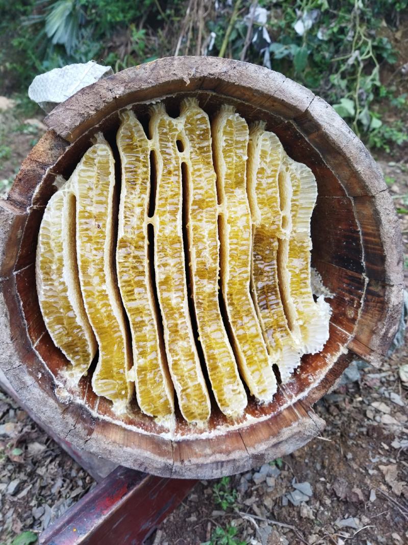 高山蜂蜜