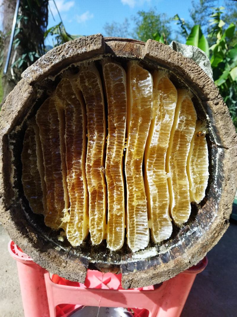 高山蜂蜜