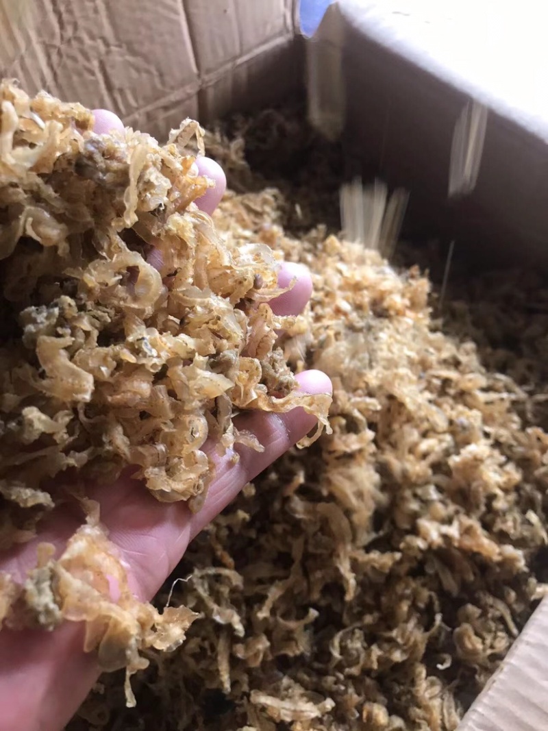 扇贝裙边扇贝边跑江湖摆地摊干贝边海鲜干货食材批发