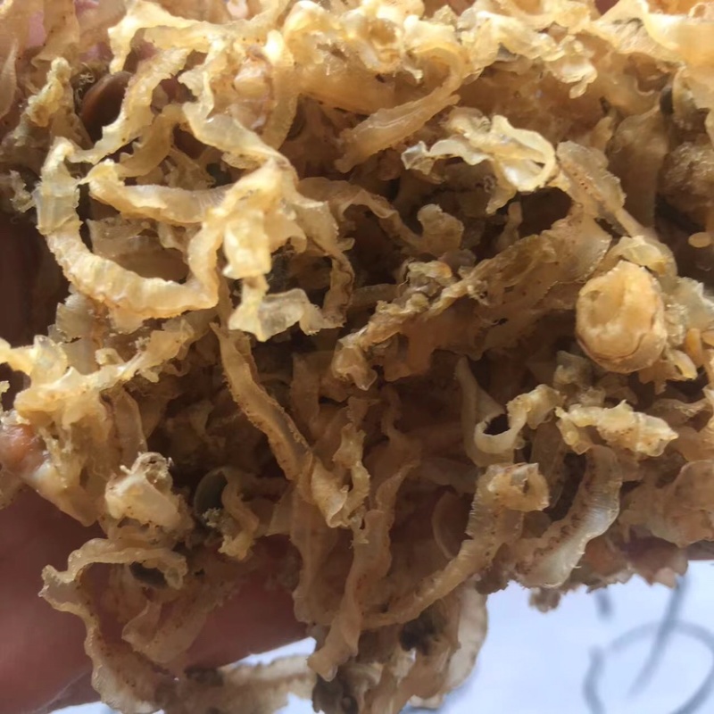 扇贝裙边扇贝边跑江湖摆地摊干贝边海鲜干货食材批发