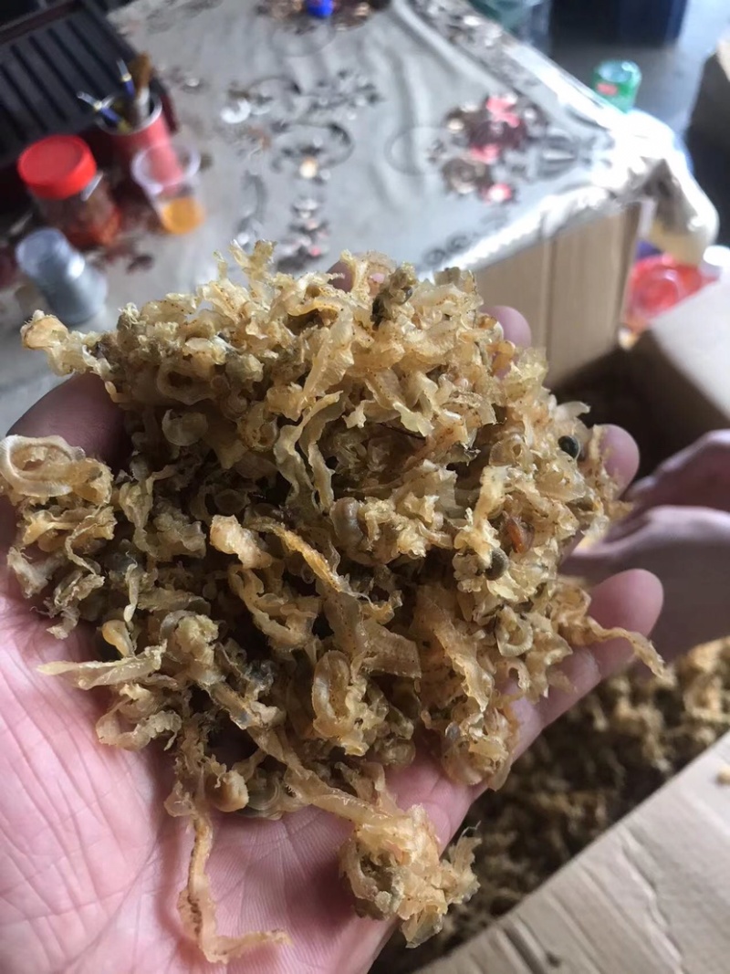 扇贝裙边扇贝边跑江湖摆地摊干贝边海鲜干货食材批发