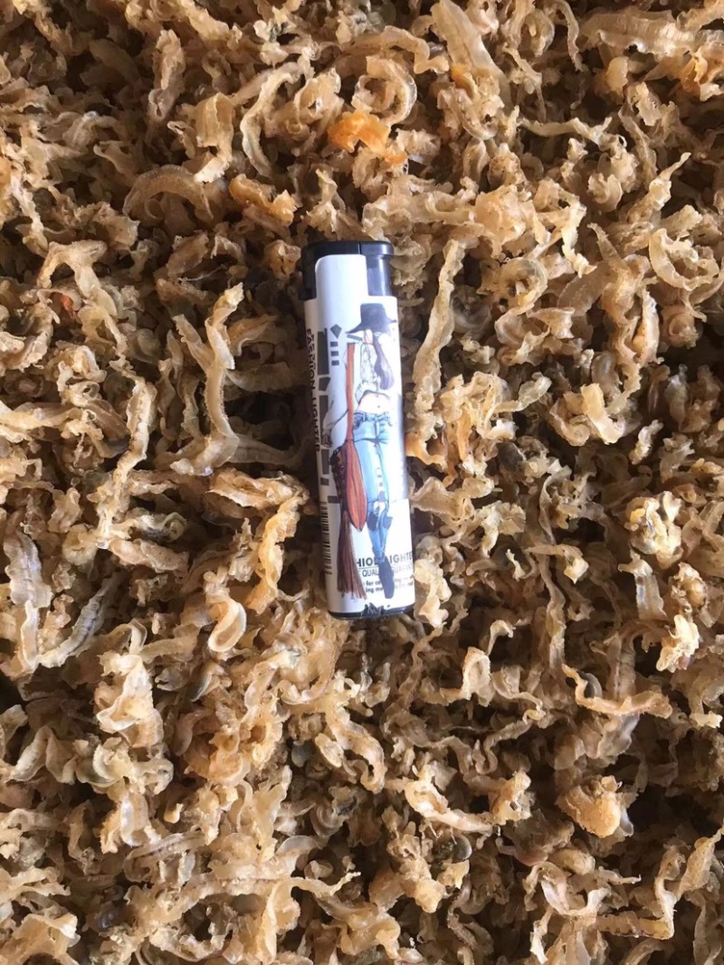 扇贝裙边扇贝边跑江湖摆地摊干贝边海鲜干货食材批发
