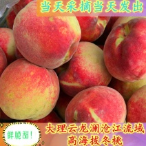 云龙新鲜现摘水果冬桃雪桃大理白族澜岄特产