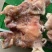 【实力推荐】熟食羊头肉羊头肉！各种规格，熟度都有