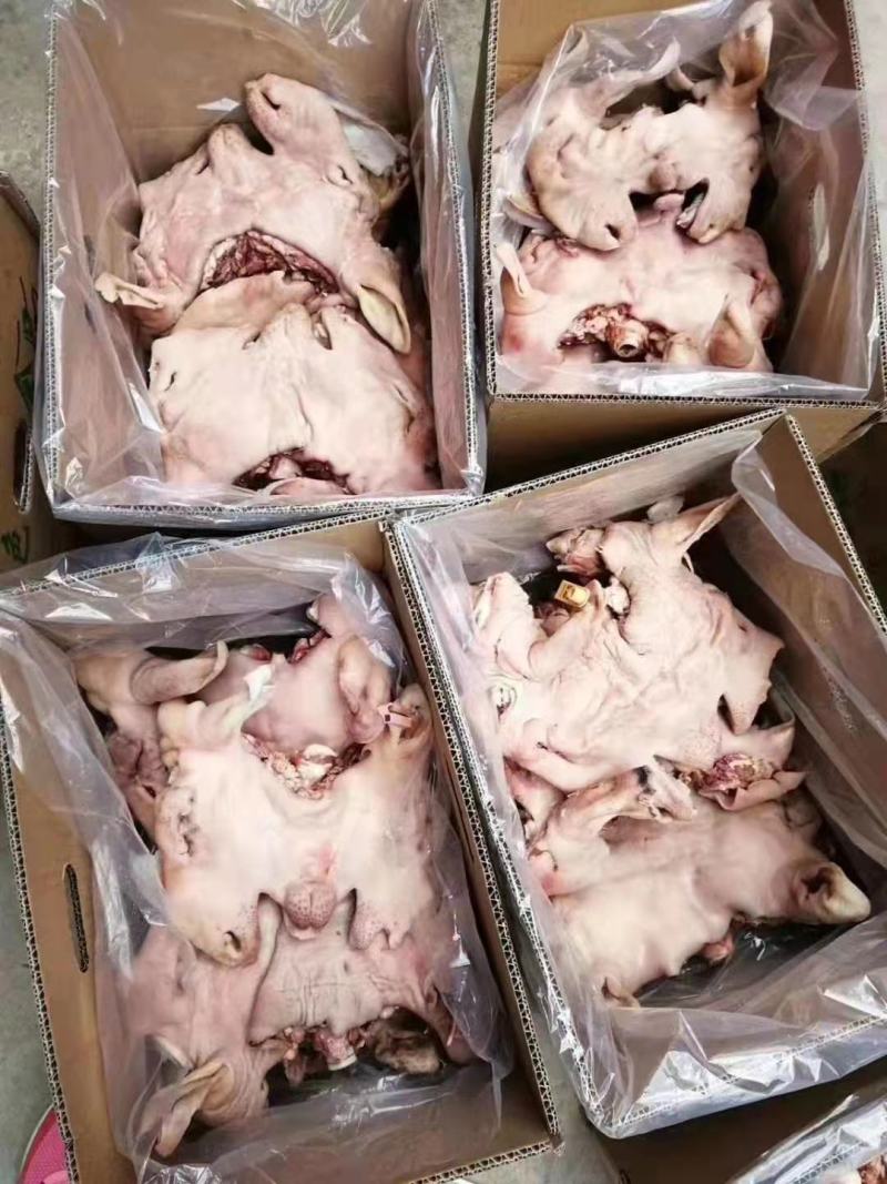 【实力推荐】熟食羊头肉羊头肉！各种规格，熟度都有