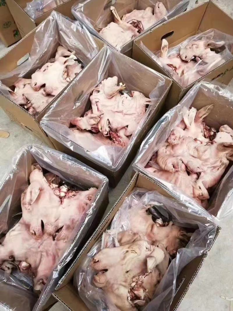 【实力推荐】熟食羊头肉羊头肉！各种规格，熟度都有