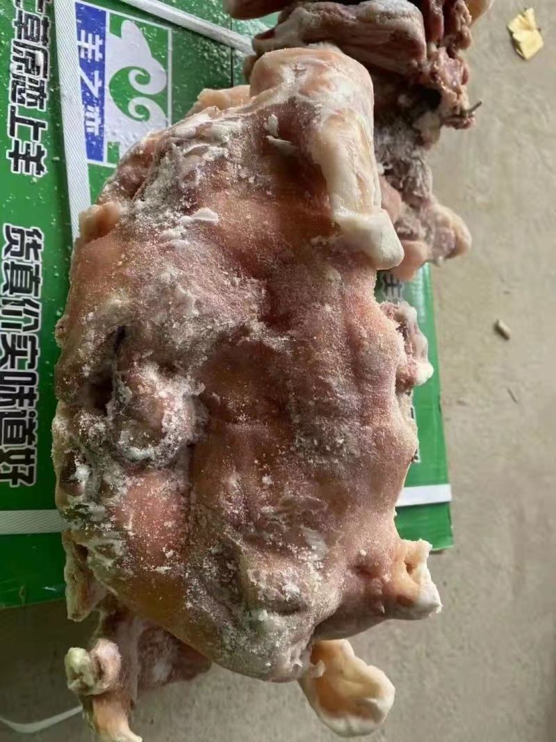【实力推荐】熟食羊头肉羊头肉！各种规格，熟度都有