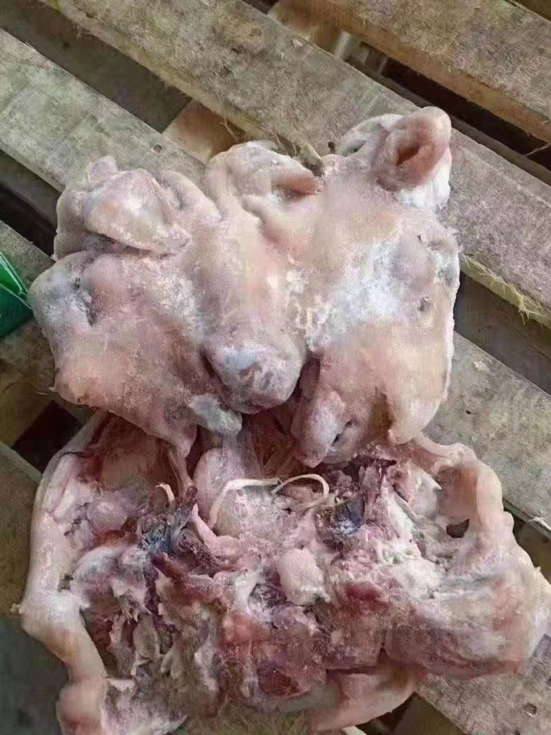 【实力推荐】熟食羊头肉羊头肉！各种规格，熟度都有