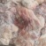 肉沫