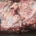 肉沫