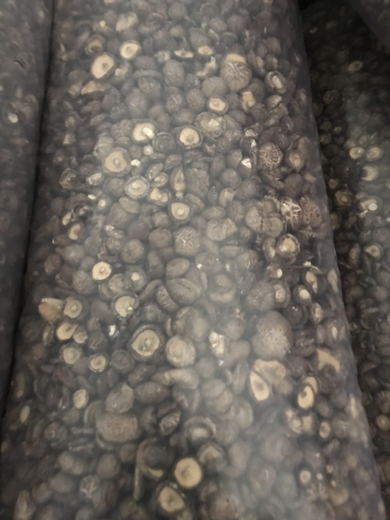 【推荐】河南精选干香菇通货肉厚剪脚食品厂电商专用一手货源
