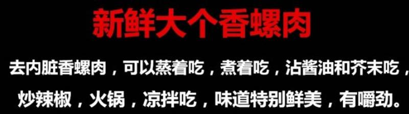 新鲜现剥海螺香螺肉海鲜鲜活水产大海螺即食冷冻玉螺肉去