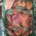 猕猴桃根藤梨根退换无忧干货农副产品
