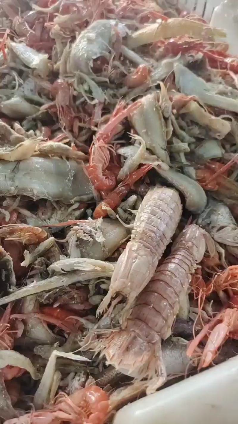 皮皮虾，弹虾，虾姑鲜活煮制口感鲜美酒店餐饮佳选食材热卖货