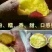 红薯