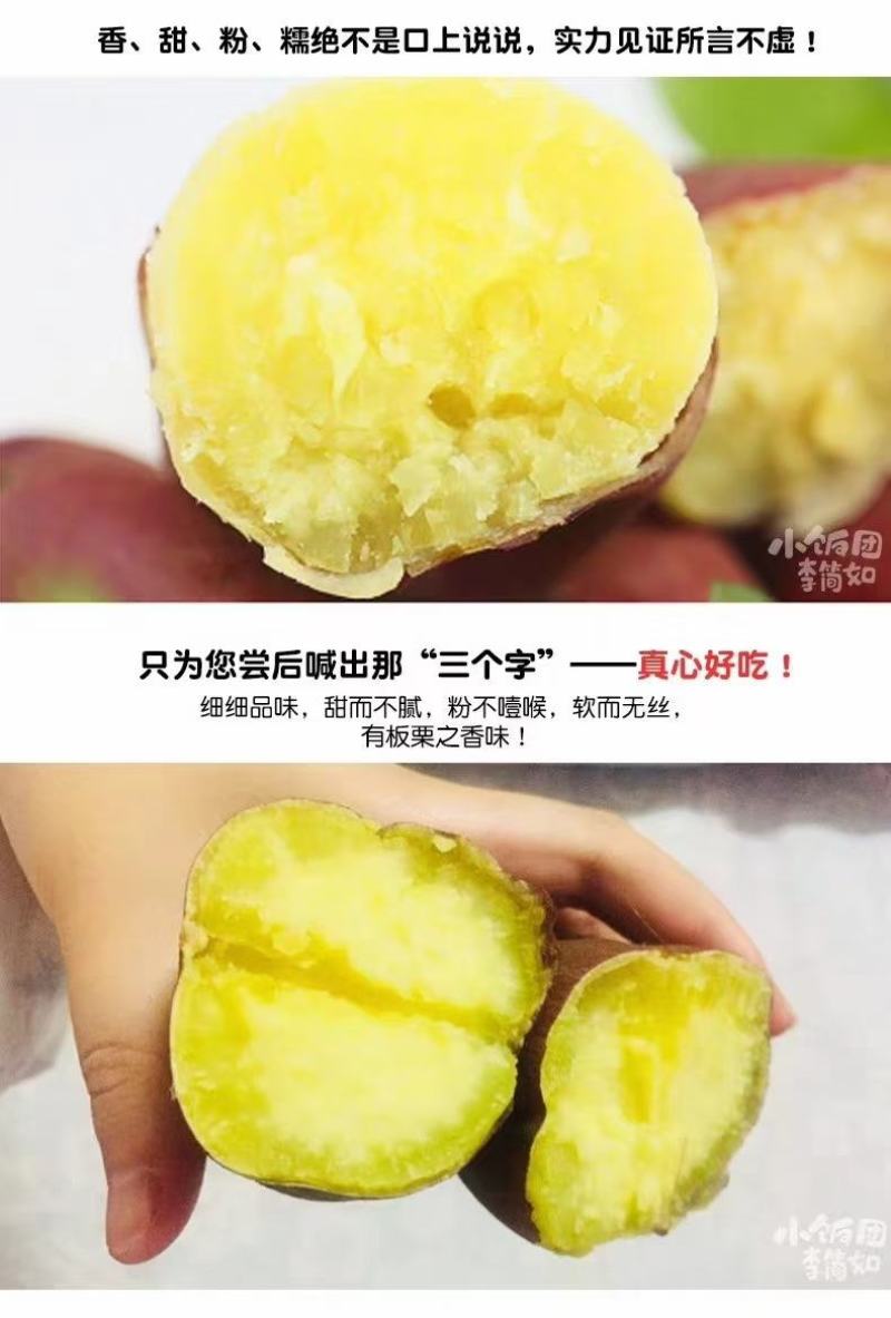 红薯