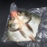 白鲢鱼头带肉1规格电商团购专用可提供免疫证明