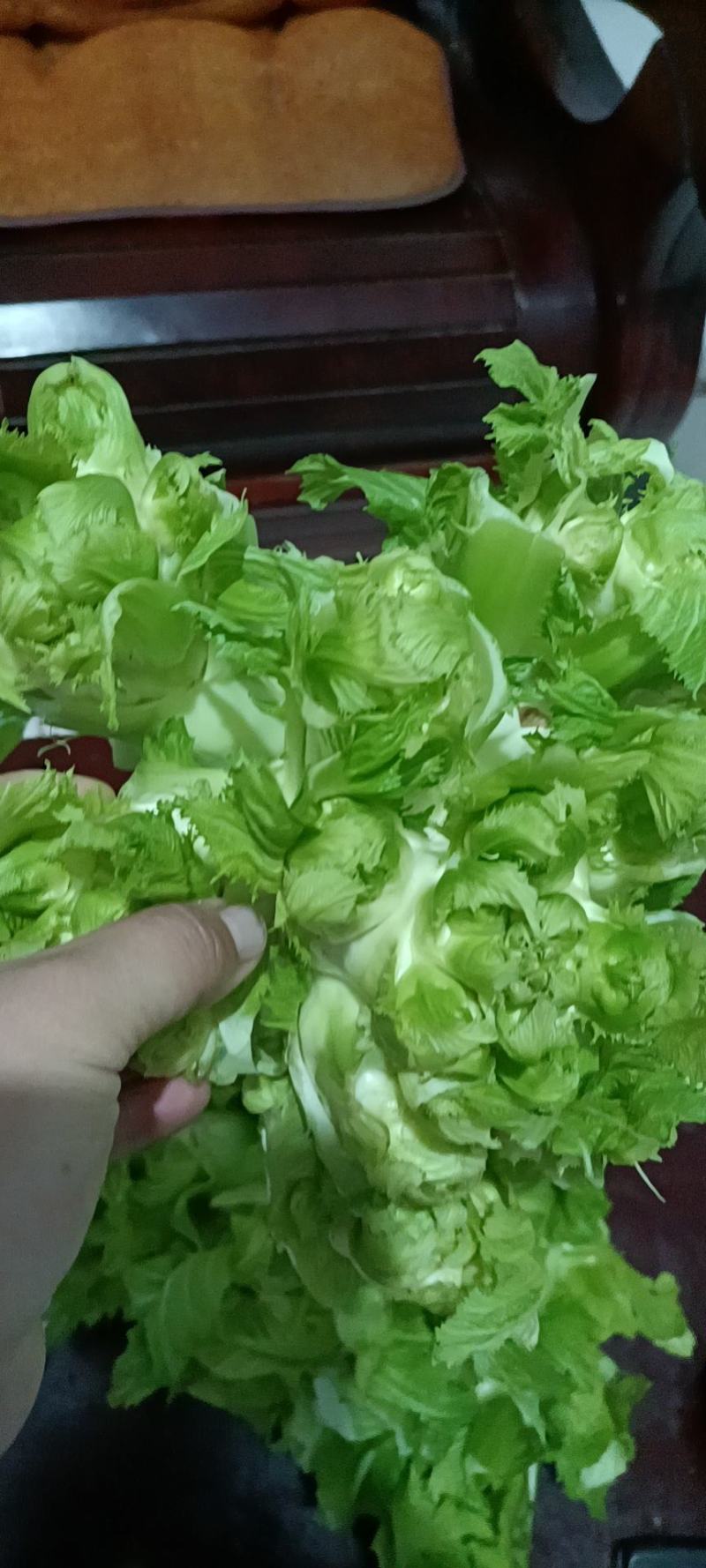 儿菜