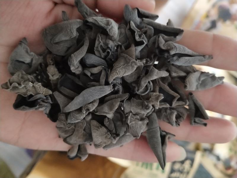 长白山秋木耳纯秋耳山泉水浇灌