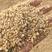 常年大量，供应，碎玉米碎小麦下脚料适合各种鸡鸭牛羊鹅养殖