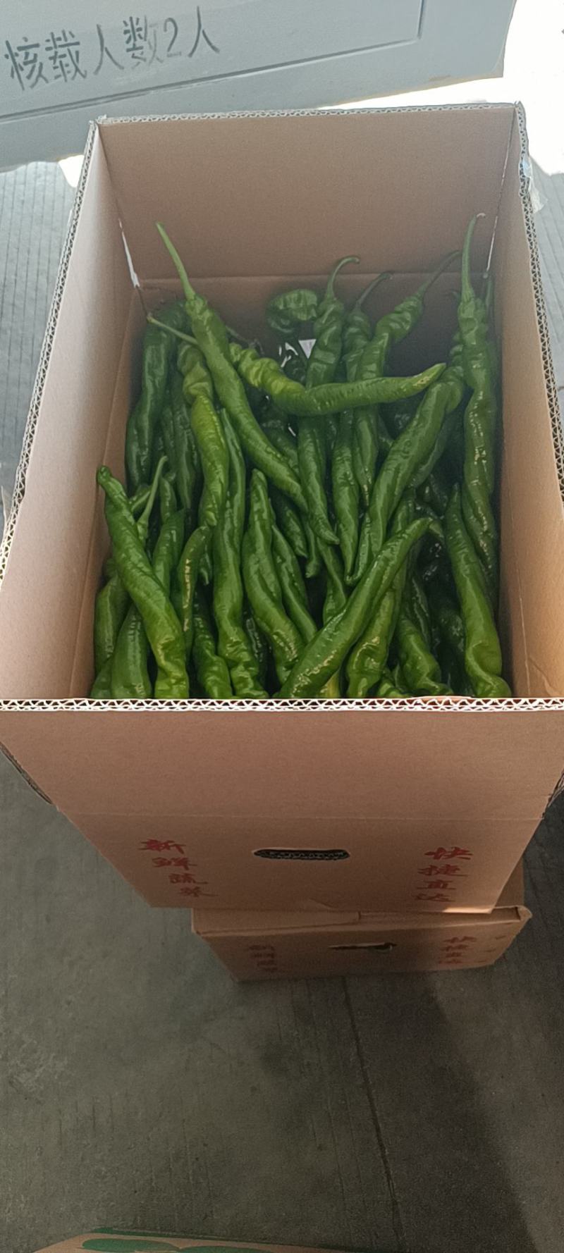 螺丝椒，福建陇椒诏安基地量大直发，富硒之地，来电优惠