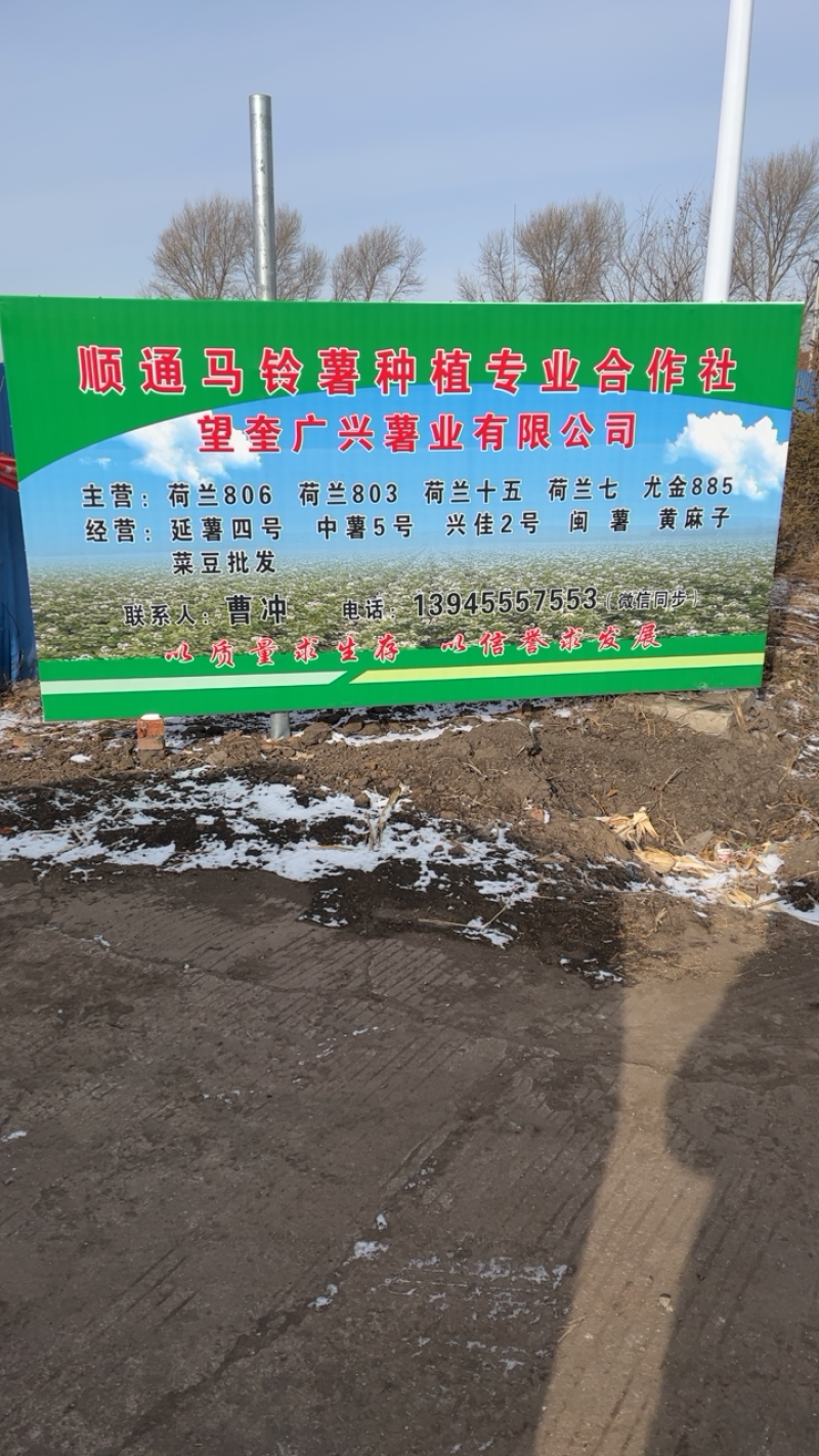 黑龙江望奎广兴薯业出售脱毒种薯品种齐全质量保证价格合理…