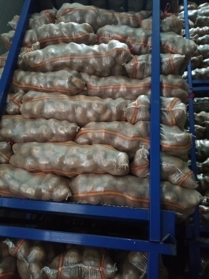 开封通许V7土豆黄皮黄心署形好圆润无黑点纸箱袋装规格全时间长