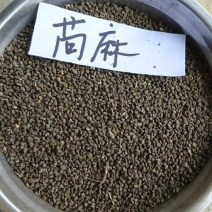 苘麻子干货农副产品不满意可退换货只卖真品