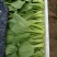 油菜大量上市质量有保证量大质量好