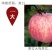 庆阳红富士苹果