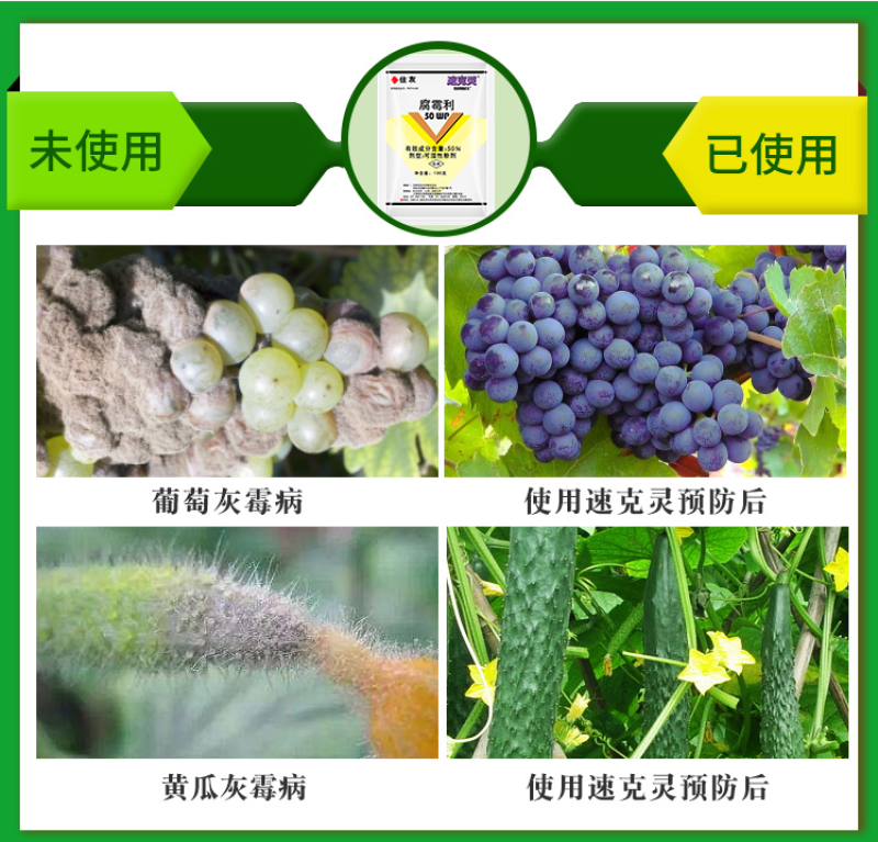 日本住友速克灵50%腐霉利番茄黄瓜草莓灰霉病菌核病杀菌剂
