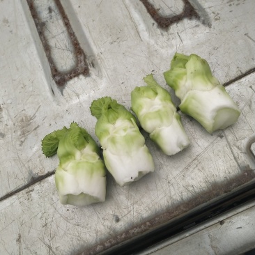 儿菜