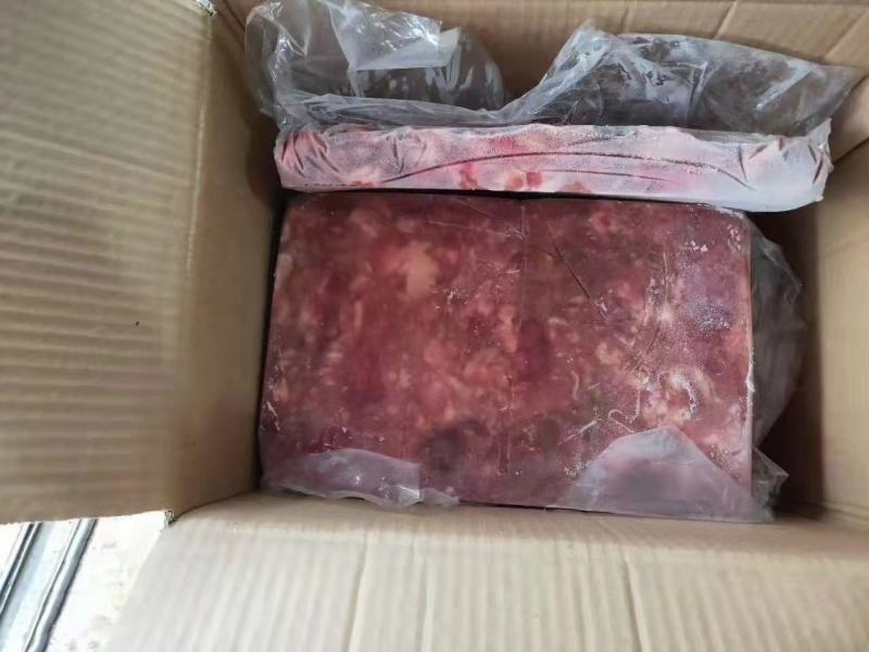 熬汤板脑，实拍图片，质量好，一手货源，全国冷链发货