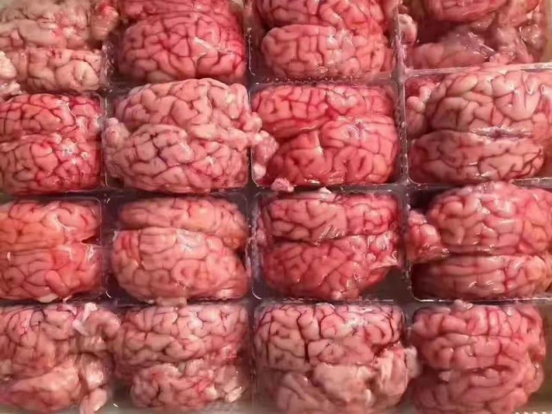 单体羊脑，实拍图片，质量好，一手货源，全国冷链发货