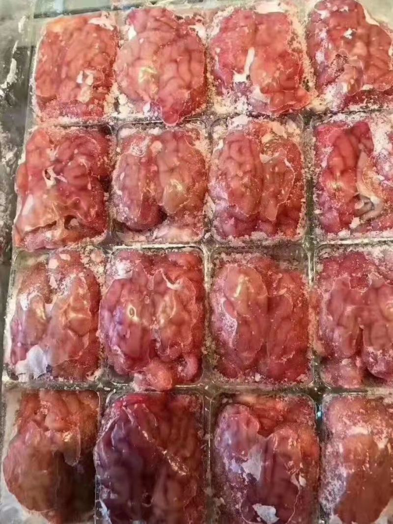 单体羊脑，实拍图片，质量好，一手货源，全国冷链发货