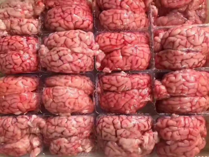 单体羊脑，实拍图片，质量好，一手货源，全国冷链发货