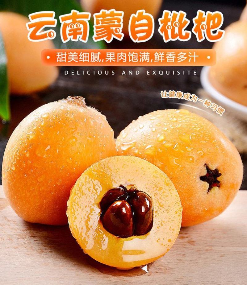 云南蒙自长虹五星枇杷