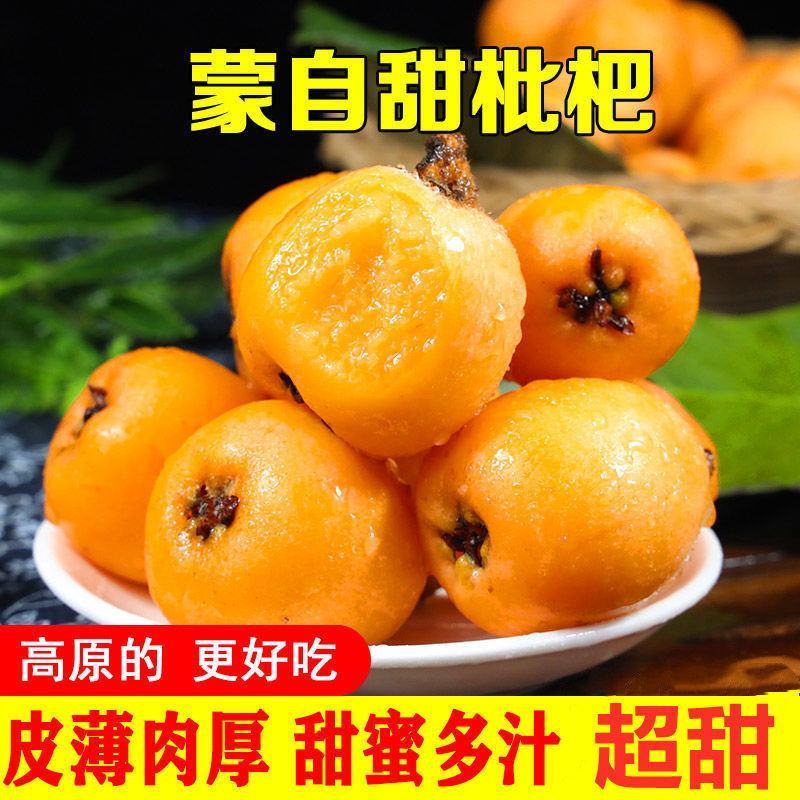 云南蒙自长虹五星枇杷