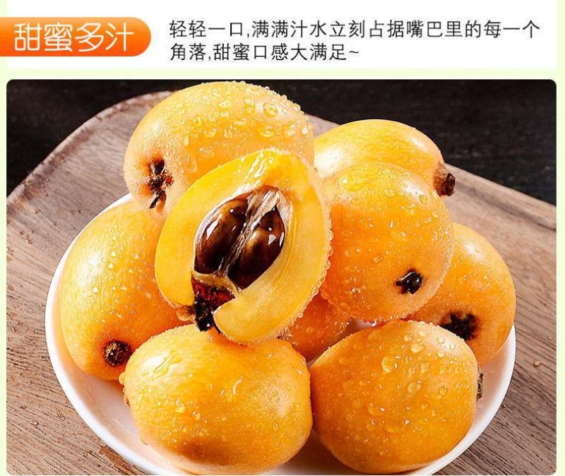 云南蒙自长虹五星枇杷