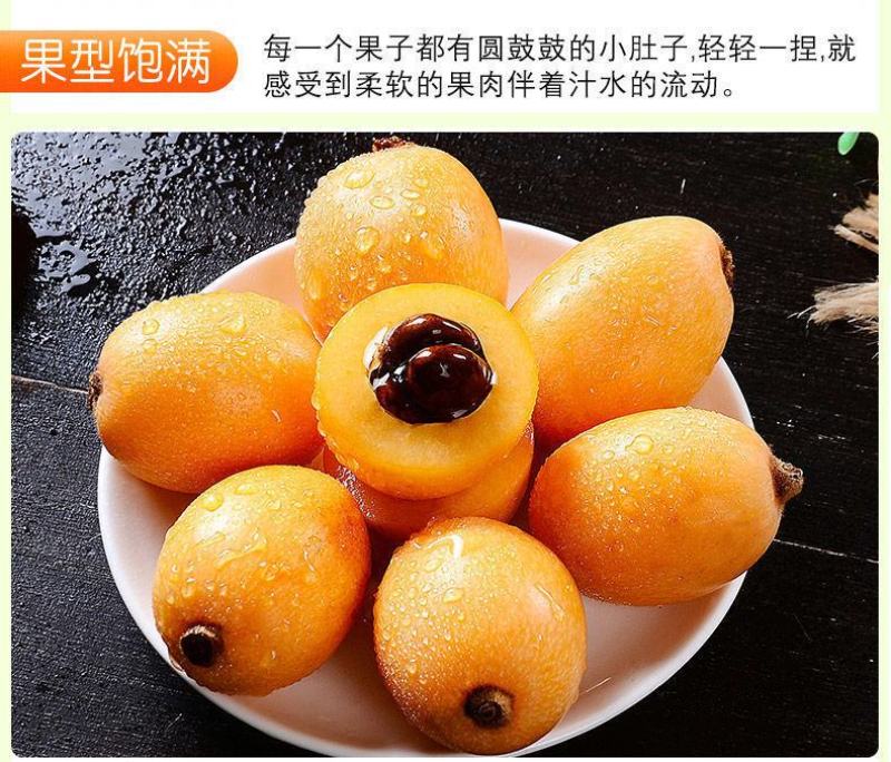 云南蒙自长虹五星枇杷