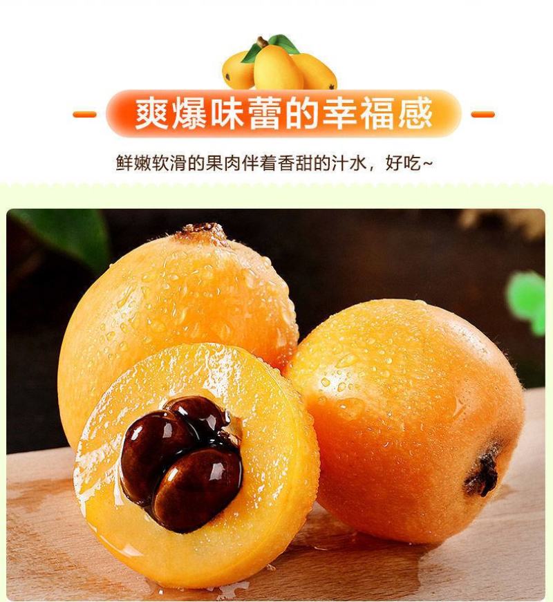 云南蒙自长虹五星枇杷