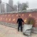 中桃金魁