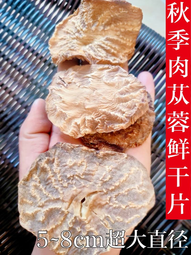 内蒙古阿拉善肉苁蓉超大油肉苁蓉鲜干片老根片500g包邮