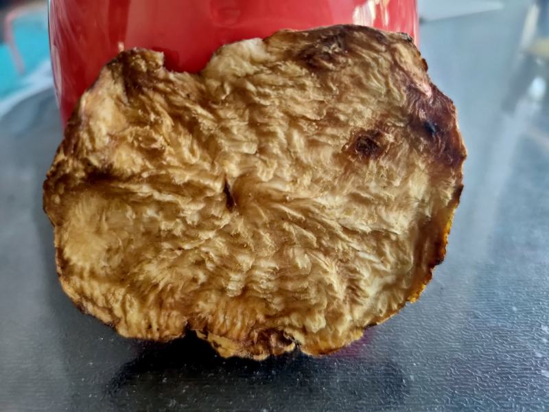 内蒙古阿拉善肉苁蓉超大油肉苁蓉鲜干片老根片500g包邮